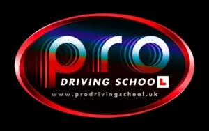 Pro Driving School logo